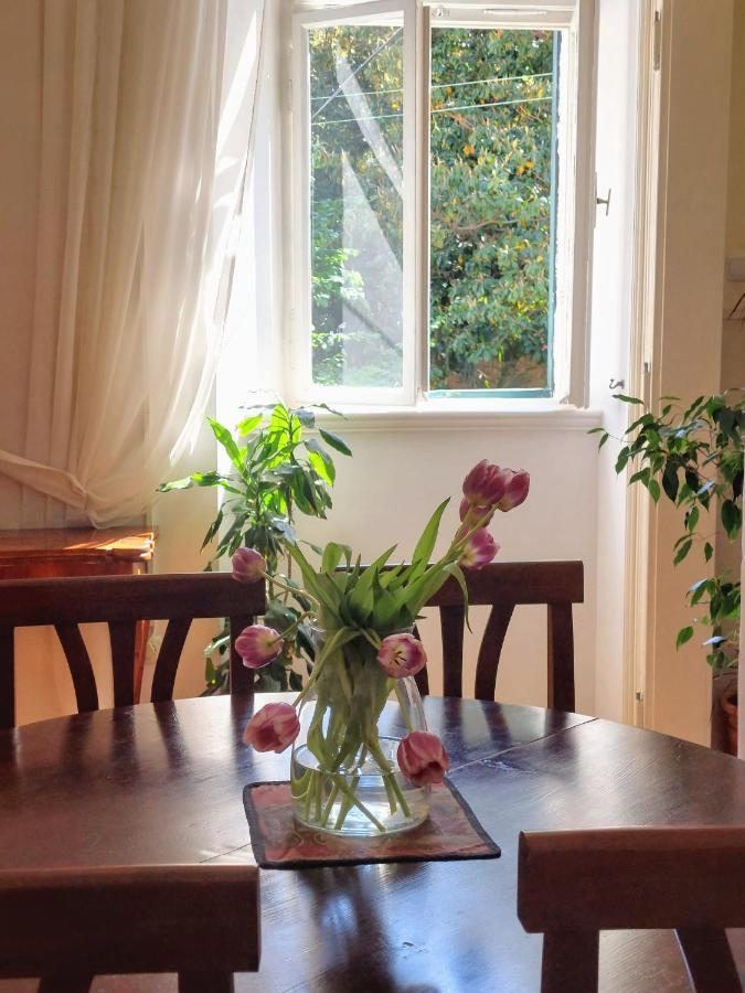 Apartments Batala Dubrovnik Ngoại thất bức ảnh